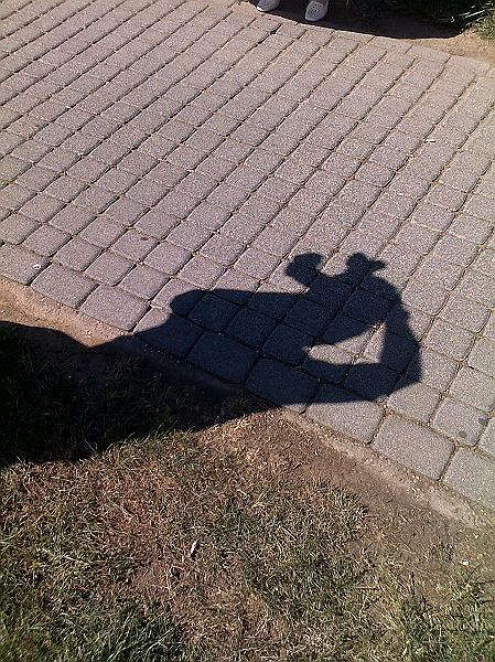 20090523225.jpg