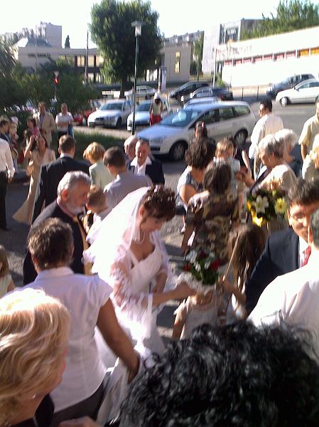 20090523243.jpg