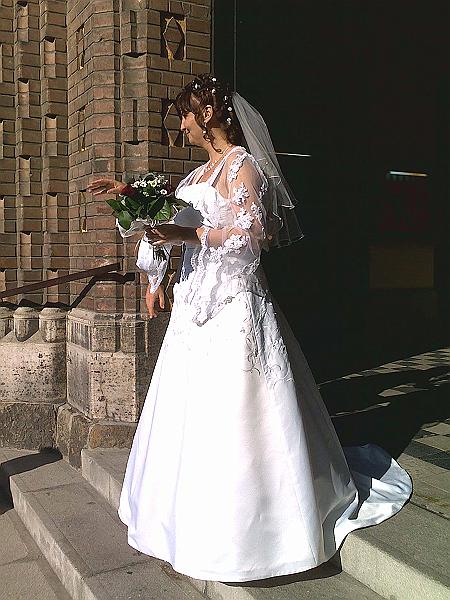 20090523248.jpg